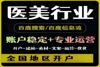 SEM广告投放中的数据监控与调整策略——以某品牌营销案例为例